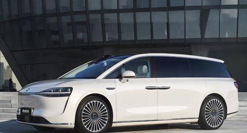 国产一级c爱,探寻中国电影中的爱情魅力